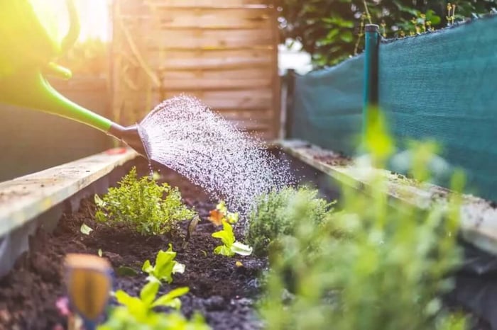 A small garden being watered in the morning.