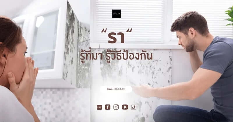 เชื้อราบนผนังห้อง รู้ที่มา  รู้วิธีป้องกัน
