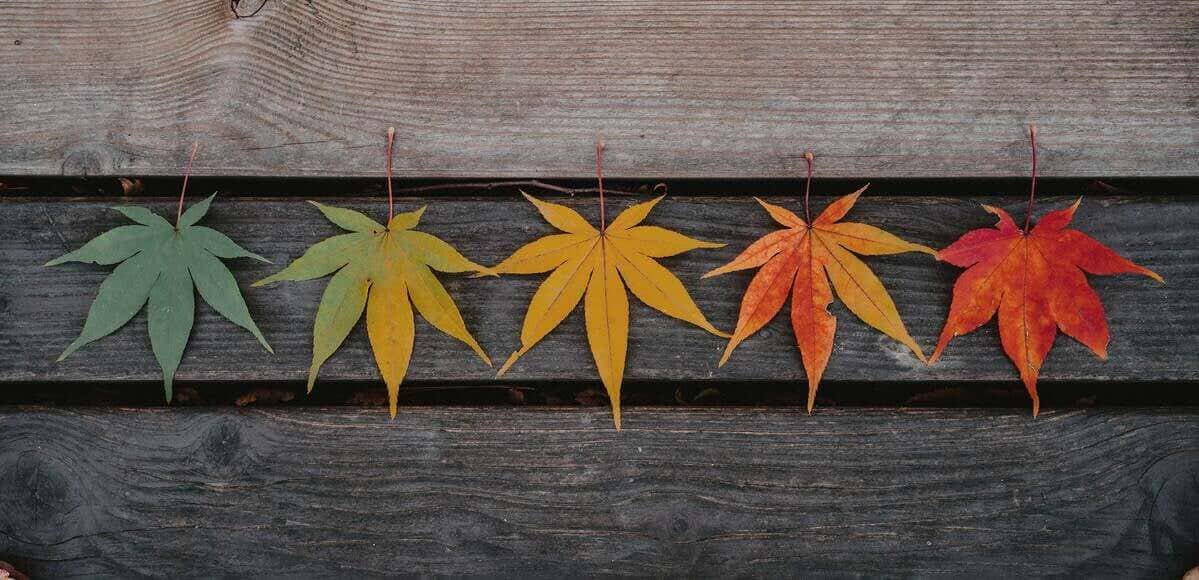 year-round-seasonal-storage