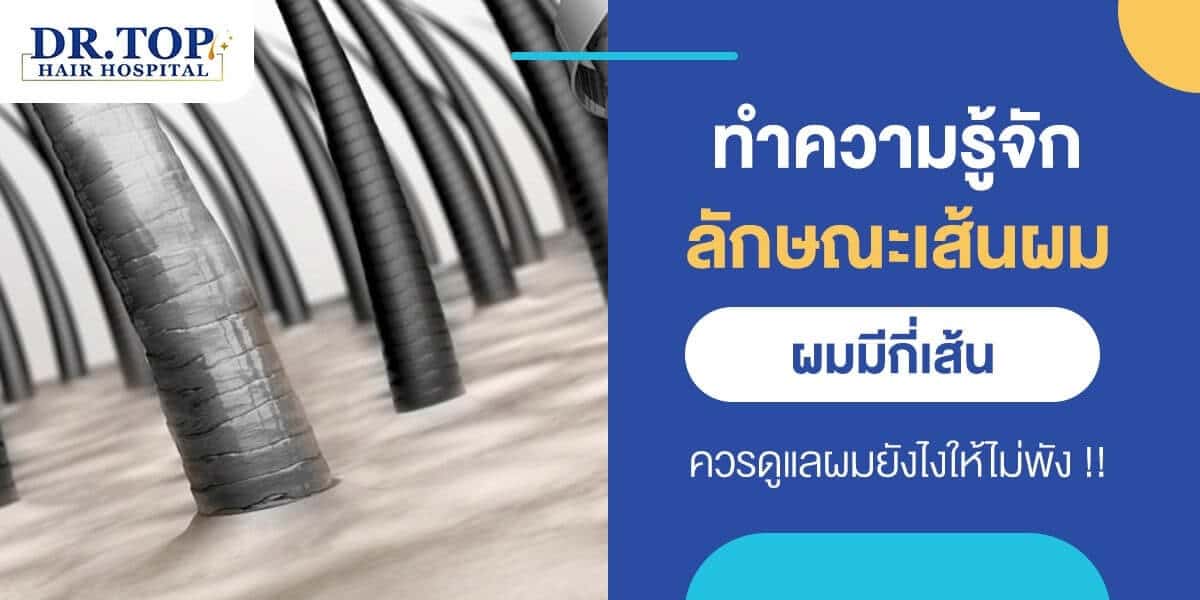 ทำความรู้จักลักษณะเส้นผม ผมมีกี่เส้น ควรดูแลผมยังไงให้ไม่พัง !!