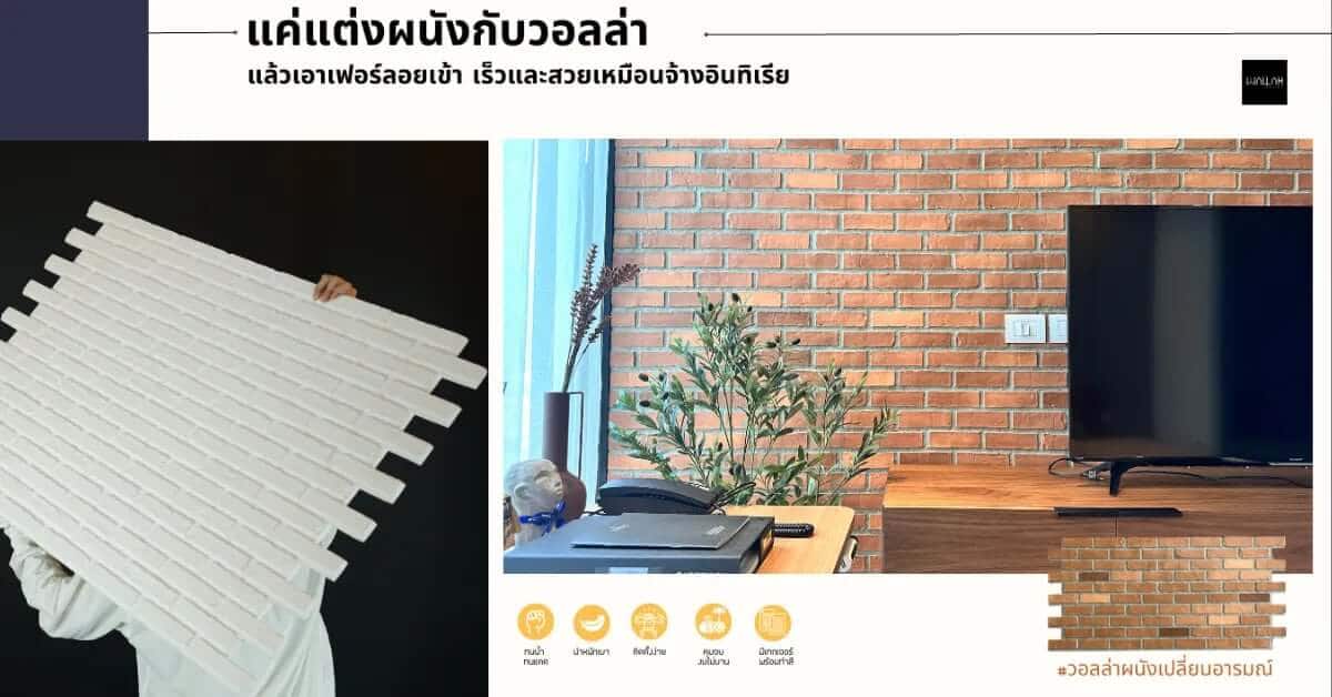 ผนังถ้ายังแก้เชื้อราไม่หาย อย่าเพิ่งทาสี เพราะคุณจะเสียค่าทาสีไม่รู้จบนะจ๊ะ